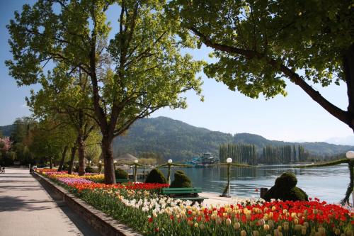 Sonnblick am Wörthersee