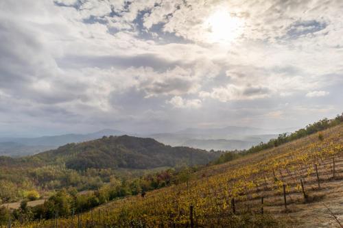 Oasi di Mastarone - Il vino e le Rose