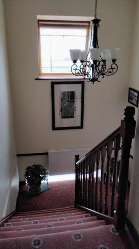 Lahiff's Bay View Guest House - image 10