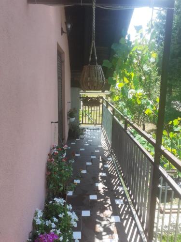 Balkons/terase, Family-friendly apartments with swimming pool Plaski, Velebit - 20466 in Plaski