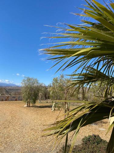  Oasis Montana peace in Tabernas Desert in Tabernas