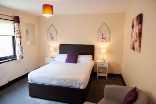 Alban and Abbey House - image 5
