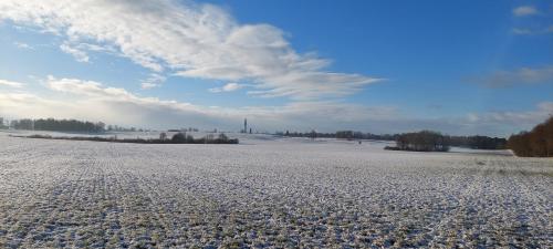 Gospoda Rycerska pod Grunwaldem