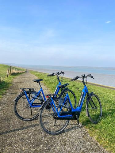 Maxime 205 - Kustpark Village Scaldia - image 11