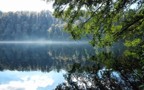 Ferienwohnung in der Vulkaneifel "Opp der Holl"