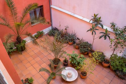 Superior Apartment image 1
