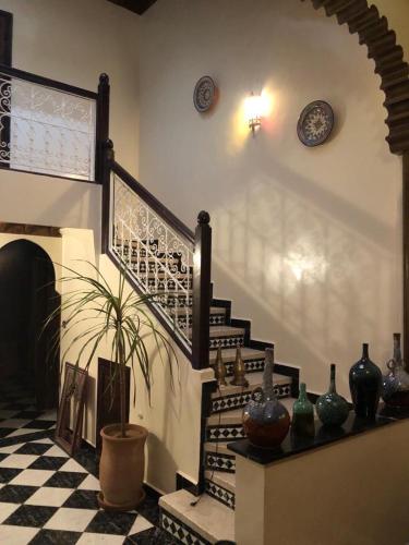 Riad Jasmine 5