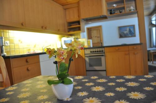 FERIENWOHNUNGEN Chalet Hohturnen - image 8