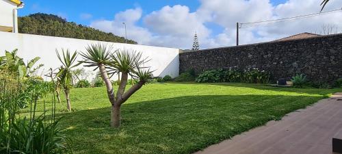 Magnolia Residence - central to explore the island 4