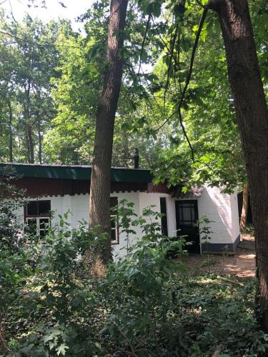  Waldhaus, Ferienwohnung in Beesel