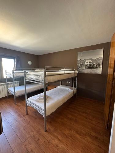 Bed in 4-Bed Dormitory Room