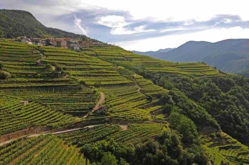 Cozy house in collina