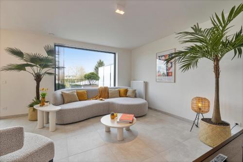 Flat Walnes, Diksmuide