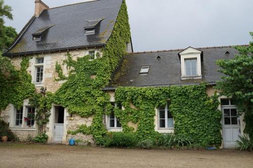 Très beau gîte, avec SPA Finlandais, près d'Angers - Location saisonnière - Rives-du-Loir-en-Anjou