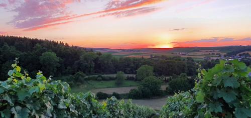 Weingut Will und Würz