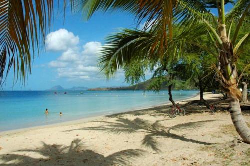 Appartement d'une chambre a Sainte Anne a 600 m de la plage avec balcon amenage - Location saisonnière - Sainte-Anne