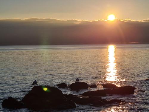 Mobil-home - Quiberon - vue sur mer