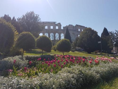  Apartment Zadarska in Pula