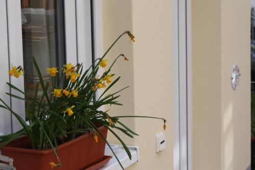 Bejárat, Ferienwohnung Familie Westermann in Kapellen-Drusweiler