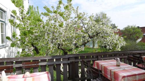 伍德塔费维特斯希夫霍格比奥酒店 伍德塔费维特斯希夫霍格比奥酒店