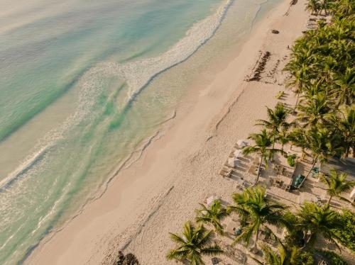 Chiringuito Tulum Hotel