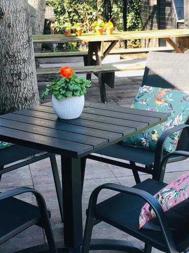 Erkély/terasz, B &B Yuupke Maasbree Noord-Limburg Venlo Roermond in Verspreide huizen op Den Hert