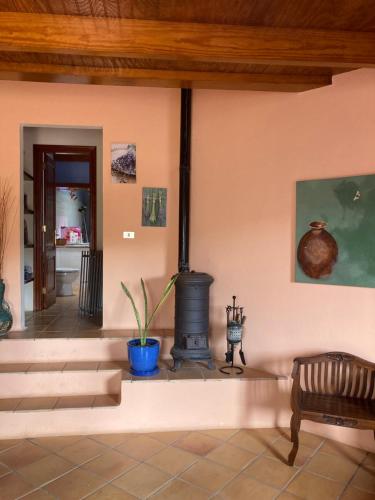 Fasiliti, Centro Ave Fénix (Centro Ave Fenix) in Femes