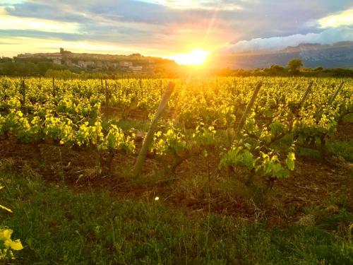 Four Bedroom Chalet with Private Pool in the Heart of Rioja Alavesa