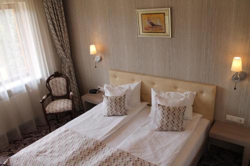 Best Western Silva Hotel - image 3
