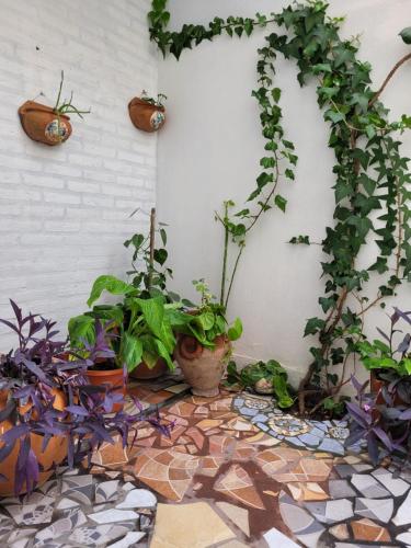 PERFECTO ESPACIO, Santiago del Estero (zdjęcie 7)