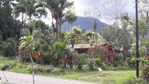 Casa Rural Aralia, Fortuna (photo 6)