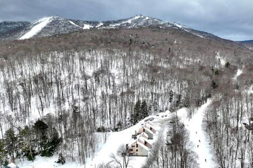 Condo 4 with AC Sauna and Hot tub Slopeside in the Winter in Killington, USA