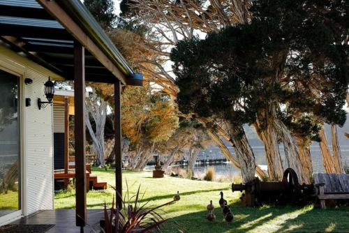 B&B Strahan - Shack on the Bay - A Lovely Bayside Cabin - Bed and Breakfast Strahan