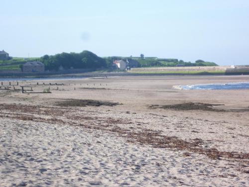 Mill Wharf - image 3