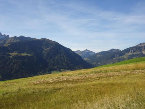 Sport og aktiviteter, Haus Alpina in Au