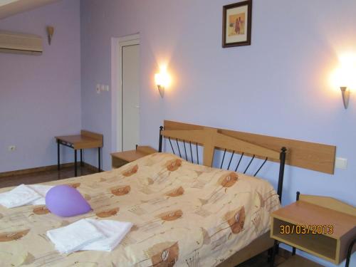 Central Family Hotel - image 13