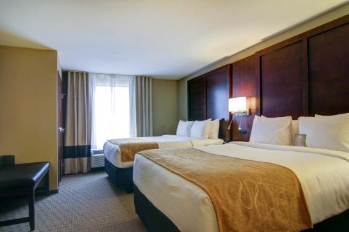 Comfort Suites Carlsbad - image 7