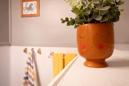 Scandinavian style, kid/pet friendly, foosball! in Champaign, USA