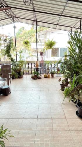 Balcony/terrace, Hotel Paulino in Madgaon