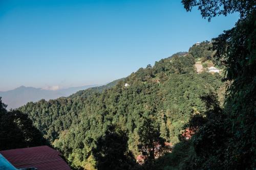 المنطقة المحيطة