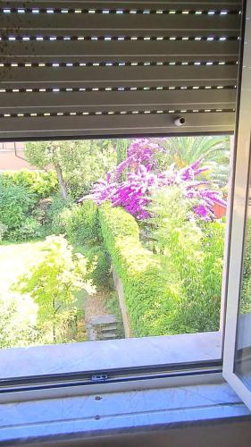 Villa Riari Garden – Rome