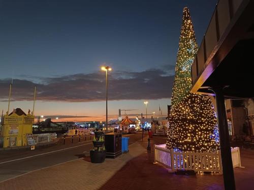 Fisherman's Terrace (Tardis) On Quay/Free Parking