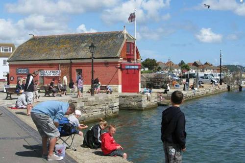 Fisherman's Terrace (Tardis) On Quay/Free Parking