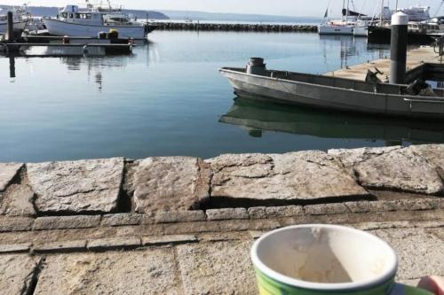 Fisherman's Terrace (Tardis) On Quay/Free Parking