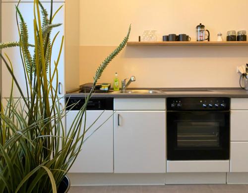 廚房, Elbnahe Ferienwohnung mit 2 Schlafzimmern in 科斯維格/安哈爾特