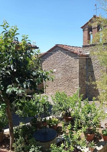  Petreto Il Giardino dei limoni in Castiglion Fiorentino