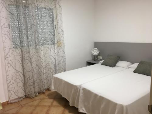 Jaen 7 - image 5