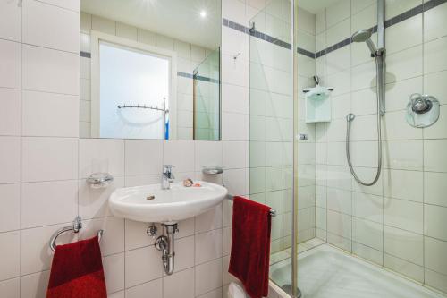 Apartment with Balcony image 6
