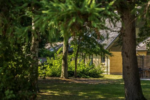 Pederstrup Bed and Breakfast - image 9