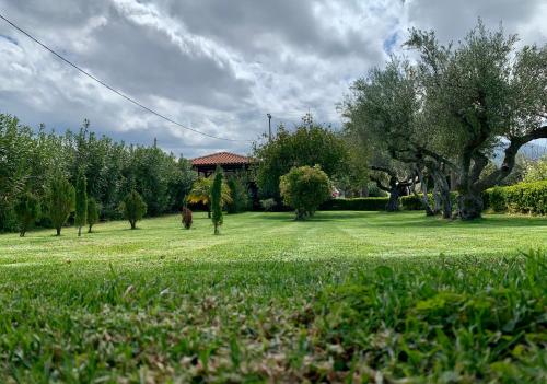 Aggelos and Thisbe Chania Suburbs Sea View Guest House